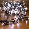 Гирлянда Кластер LED 3 м, темно-зеленый ПВХ IP20, 288 диодов, цвет белый