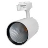 Трековые светильники PTR / PTR  1732 32w 4000K 24° WH (белый) IP40 Jazzway (5026186)