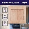 1-105-11 1-105-11 Intro Выключатель двойной с подсветкой, 10А-250В, IP20, СУ, Plano, сосн