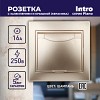 1-203-04  Розетка Intro Plano 1-203-04 2P+E Schuko с крышкой 16А-250В IP20 СУ шампань