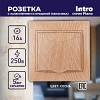 1-203-11 Розетка Intro Plano 1-203-11 2P+E Schuko с крышкой 16А-250В IP20 СУ сосна
