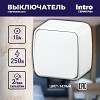 3-101-01 3-101-01 Intro Выключатель, 10А-250В, IP20, ОУ, Polo, белый