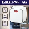 3-102-01 3-102-01 Intro Выключатель с подсветкой, 10А-250В, IP20, ОУ, Polo, белый