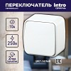 3-103-01 3-103-01 Intro Переключатель, 10А-250В, IP20, ОУ, Polo, белый