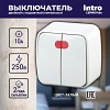3-105-01 3-105-01 Intro Выключатель двойной с подсветкой, 10А-250В, IP20, ОУ, Polo, белый