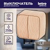 3-104-11 3-104-11 Intro Выключатель двойной, 10А-250В, IP20, ОУ, Polo, сосна