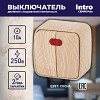 3-105-11 3-105-11 Intro Выключатель двойной с подсветкой, 10А-250В, IP20, ОУ, Polo, сосна
