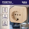 3-202-11 Розетка Intro Polo 3-202-11 2P+E Schuko 16А-250В IP20 ОУ сосна