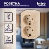 3-204-11 Розетка Intro Polo 3-204-11 2х2P+E Schuko 16А-250В IP20 ОУ сосна