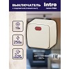 3-102-02 3-102-02 Intro Выключатель с подсветкой, 10А-250В, IP20, ОУ, Polo, сл.кость