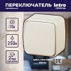 3-103-02 3-103-02 Intro Переключатель, 10А-250В, IP20, ОУ, Polo, сл.кость