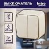 3-104-02 3-104-02 Intro Выключатель двойной, 10А-250В, IP20, ОУ, Polo, сл.кость