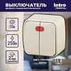 3-105-02 3-105-02 Intro Выключатель двойной с подсветкой, 10А-250В, IP20, ОУ, Polo, сл.ко