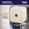 3-301-02 Розетка Intro Polo 3-301-02 TV одиночная, IP20, ОУ, слоновая кость