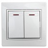 1Э-105-01 1Э-105-01 Intro Выключатель двойной с подсветкой, 10А-250В, СУ, б.л., Plano, бе