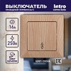 4-103-11 4-103-11 Intro Переключатель, 10А-250В, СУ, Solo, сосна