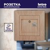 4-303-11 Розетка Intro Solo 4-303-11 информационная RJ45 СУ сосна