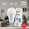 LED A65-30W-840-E27 Лампа светодиодная ЭРА STD LED A65-30W-840-E27 30Вт груша нейтральный белый свет Е27
