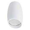 Светильники накладные Fametto DLC-S603 GU10 WHITE