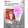 Лампа светодиодная LED-A60 STD-ФИТО красно-синий спектр 15Вт 230В Е27 IN HOME
