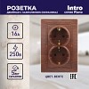 1-205-10  Розетка Intro Plano 1-205-10 с заземлением двойная 2X2P+E Schuko 16А-250В IP20 С