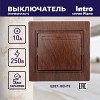 1-101-10 Выключатель Intro Plano 1-101-10 одноклавишный 10А-250В, IP20, СУ, венге