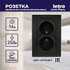 1-204-05 Розетка Intro Plano 1-204-05 без заземления двойная 2х2P 16А-250В IP20 СУ антрац