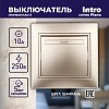 1-101-04 Выключатель Intro Plano 1-101-04 одноклавишный, 10А-250В, IP20, СУ, шампань