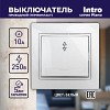 1-103-01 Переключатель Intro Plano 1-103-01 одноклавишный 10А-250В, IP20, СУ, белый