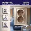 1-205-04 Розетка Intro Plano 1-205-04 с заземлением двойная 2X2P+E Schuko 16А-250В IP20 С