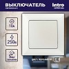 4-101-06 Выключатель Intro Solo 4-101-06 одноклавишный 10А-250В, IP20, СУ, перламутр