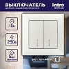 4-105-06 Выключатель Intro Solo 4-105-06 двухклавишный с подсветкой, 10А-250В, IP20, СУ,