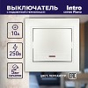 1-102-06 Выключатель Intro Plano 1-102-06 одноклавишный с подсветкой, 10А-250В, IP20, СУ,