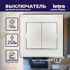 1-104-06  Выключатель Intro Plano 1-104-06 двухклавишный, 10А-250В, IP20, СУ, перламутр