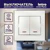 1-105-06 Выключатель Intro Plano 1-105-06 двухклавишный с подсветкой, 10А-250В, IP20, СУ,