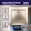 1-102-04 Выключатель Intro Plano 1-102-04 одноклавишный с подсветкой, 10А-250В, IP20, СУ,