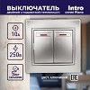 1-105-03 Выключатель Intro Plano 1-105-03 двухклавишный с подсветкой, 10А-250В, IP20, СУ,