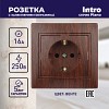 1-202-10  Розетка Intro Plano 1-202-10 с заземлением 2P+E Schuko 16А-250В IP20 СУ венге