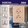 1-204-11 Розетка Intro Plano 1-204-11 без заземления двойная 2х2P 16А-250В IP20 СУ сосна