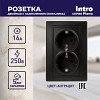 1-205-05 Розетка Intro Plano 1-205-05 с заземлением двойная 2X2P+E Schuko 16А-250В IP20 С