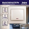 1-102-02 Выключатель Intro Plano 1-102-02 одноклавишный с подсветкой, 10А-250В, IP20, СУ,