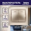 1-104-04 Выключатель Intro Plano 1-104-04 двухклавишный, 10А-250В, IP20, СУ, шампань