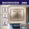 1-105-04 Выключатель Intro Plano 1-105-04 двухклавишный с подсветкой, 10А-250В, IP20, СУ,