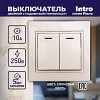 1-105-02 Выключатель Intro Plano 1-105-02 двухклавишный с подсветкой, 10А-250В, IP20, СУ,