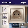 1-201-04 Розетка Intro Plano 1-201-04 без заземления 2P 16А-250В IP20 СУ шампань