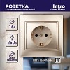 1-202-04 Розетка Intro Plano 1-202-04 с заземлением 2P+E Schuko 16А-250В IP20 СУ шампань