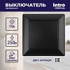 4-101-05 Выключатель Intro Solo 4-101-05 одноклавишный 10А-250В, IP20, СУ, антрацит