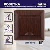 4-203-10 Розетка Intro Solo 4-203-10 с заземлением 2P+E Schuko с крышкой 16А-250В IP20 СУ