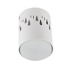 Светильники накладные Fametto DLC-S618 GX53 WHITE