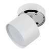 Светильники накладные Fametto DLC-S615 GX53 WHITE